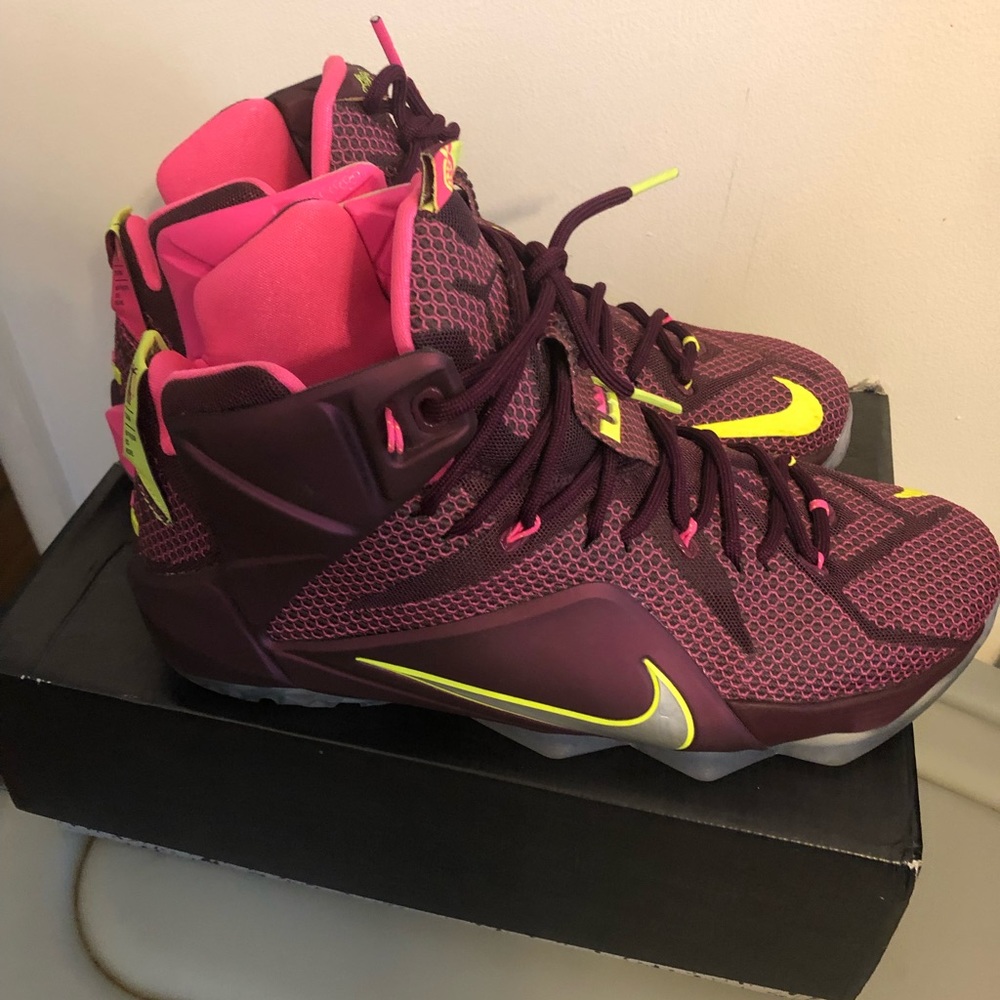 Lebron  burgundy elite 9’s sneakers